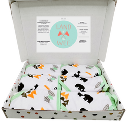 6 Pack Newborn Baby Washcloth Gift Set