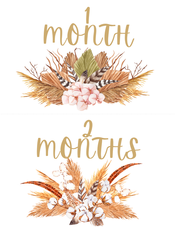 New Baby Monthly Milestone Cards - Free Download