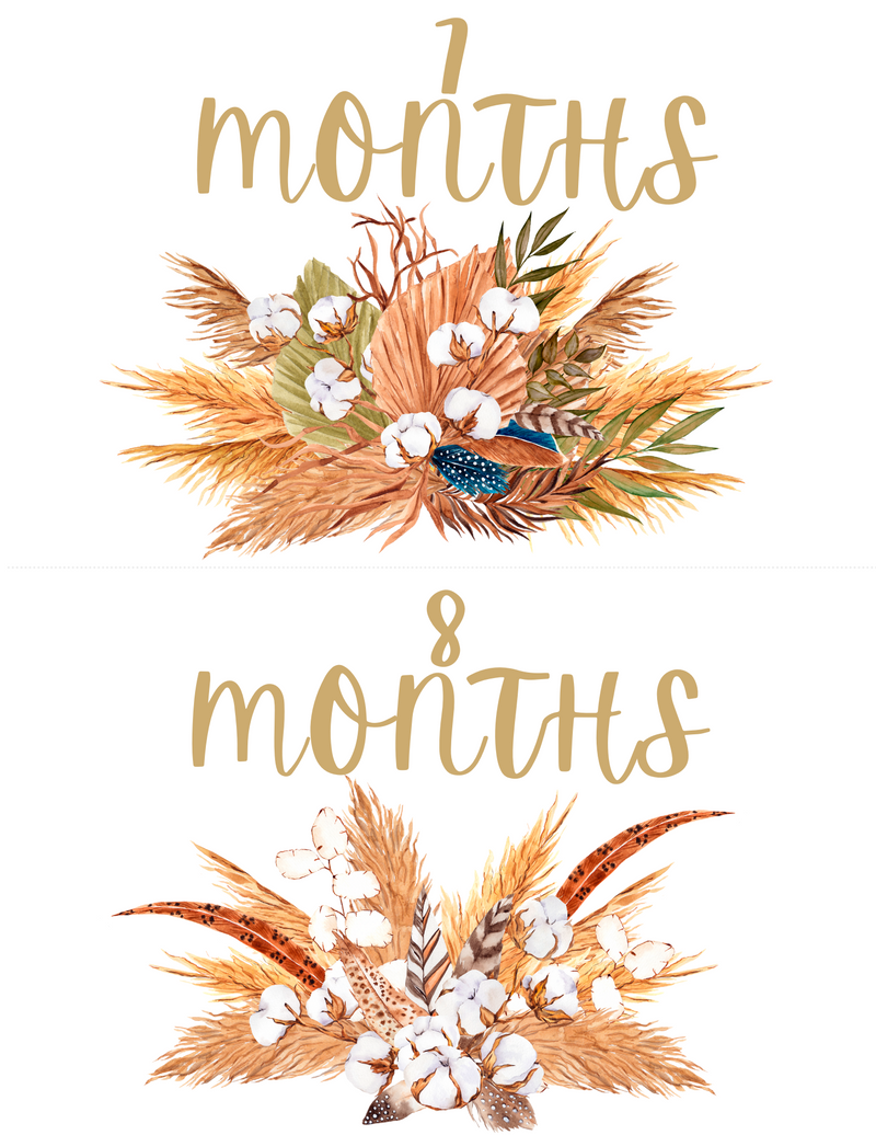 New Baby Monthly Milestone Cards - Free Download